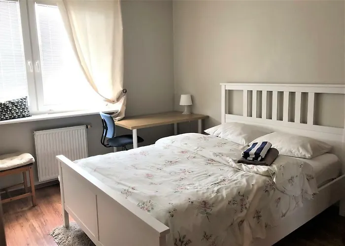 דירה 777 & Cars _ Marshal Foch